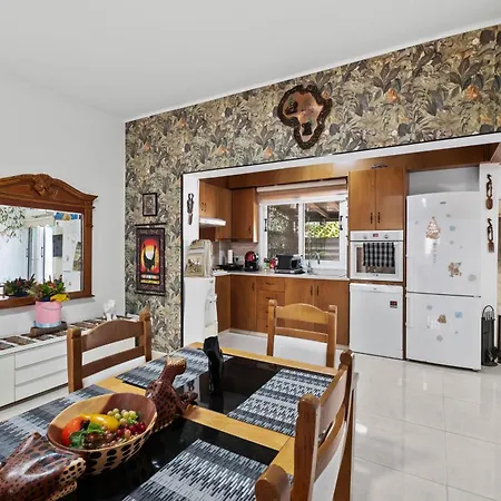 Apartment Demetris Meneou