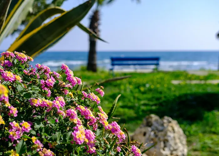 Demetris Apartmán Meneou